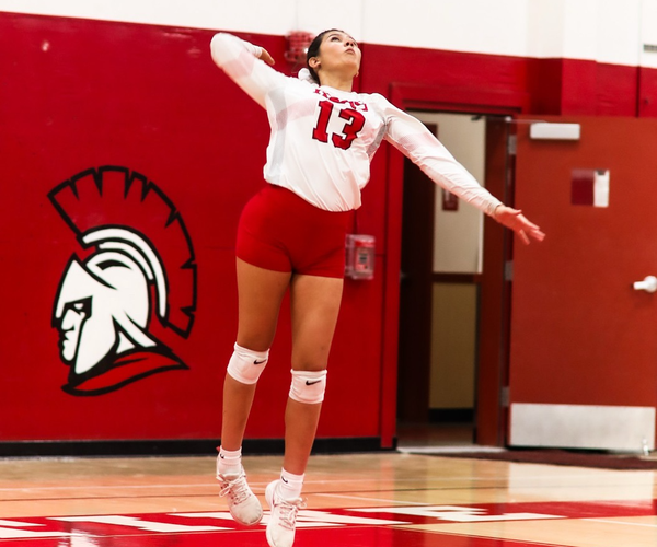 ghs vb 10-1
