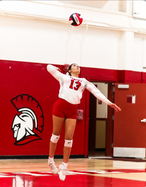 ghs vb 10-1