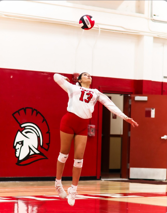 ghs vb 10-1
