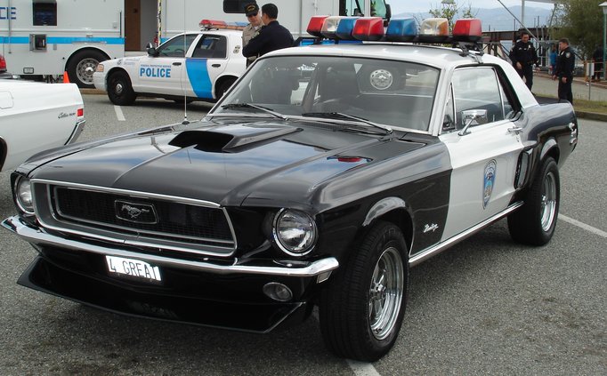 police car show