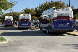 transit buses