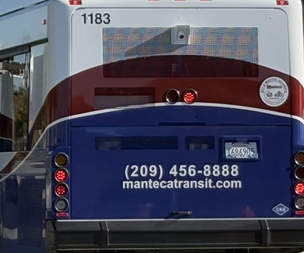 transit buses