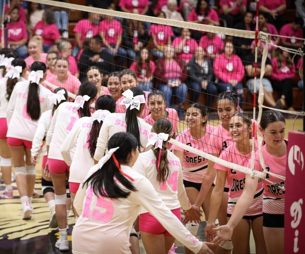 dig pink 1