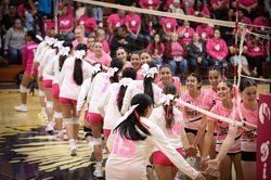 dig pink 1
