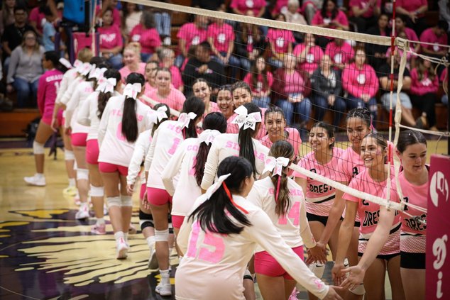 dig pink 1