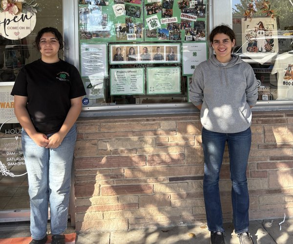 newman 4-h week