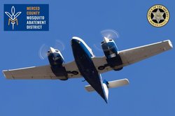 mosquito spraying