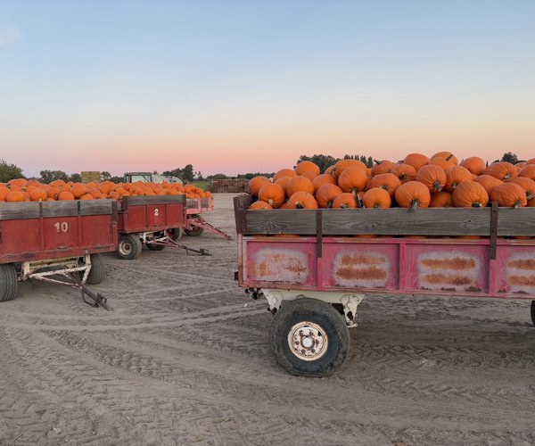 pumpkin trailer