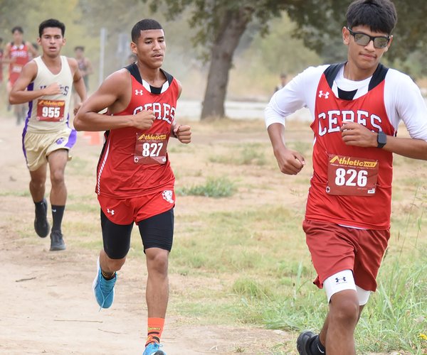 chsboysxc.jpg