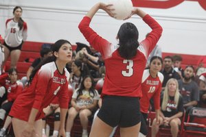 chsvolleyball.jpg