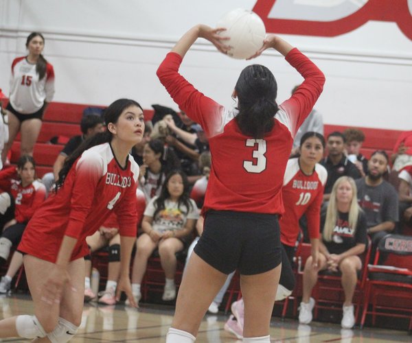 chsvolleyball.jpg