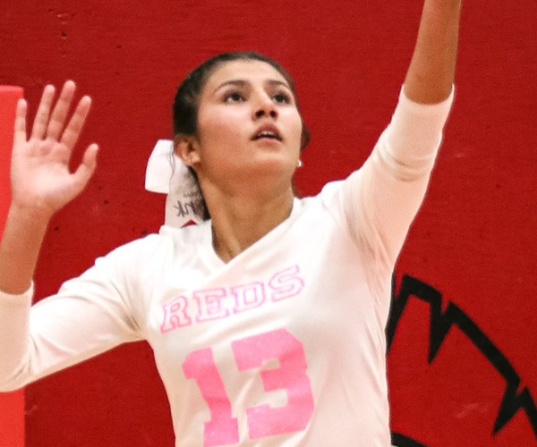ghs vb 10-15 1