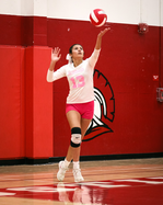 ghs vb 10-15 1