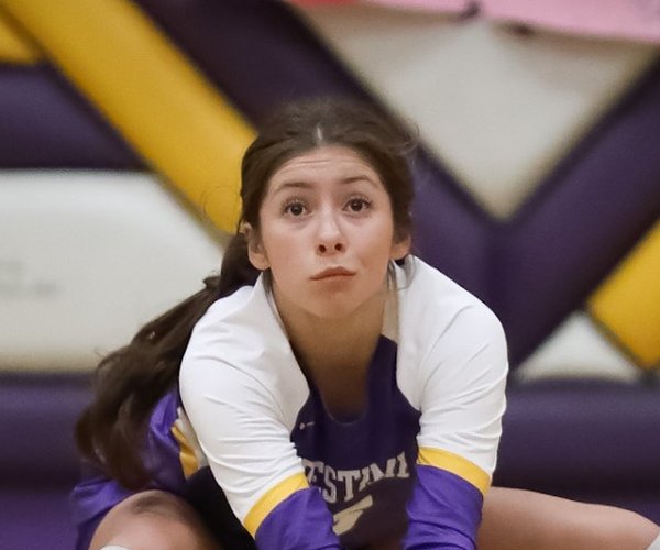 ohs vb 10-15 1