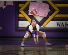 ohs vb 10-15 1