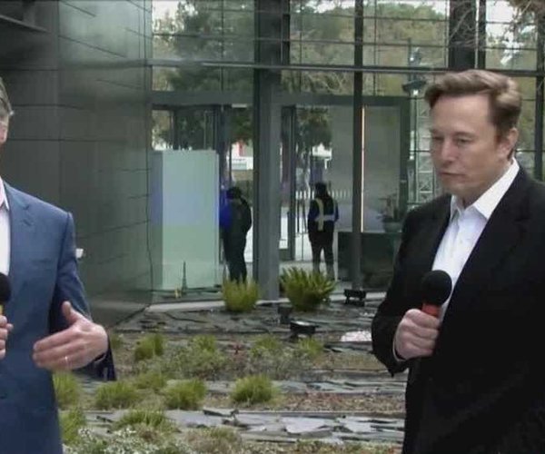 newsom musk