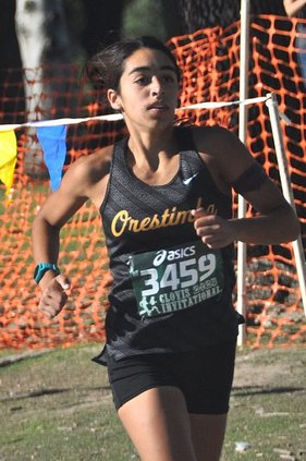 ohs xc 10-15