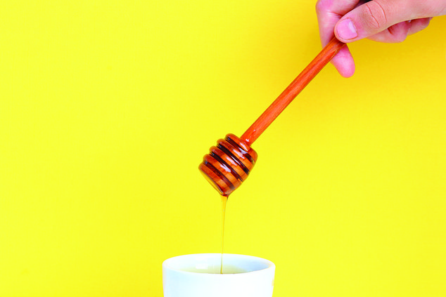 Honey 10-22