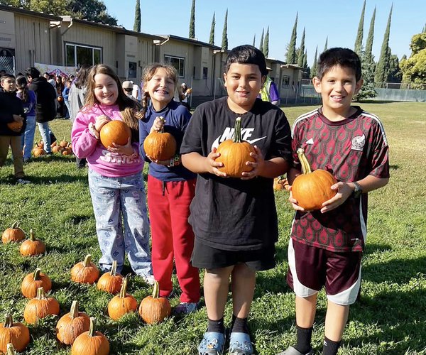 Kiwanis pumpkins 1