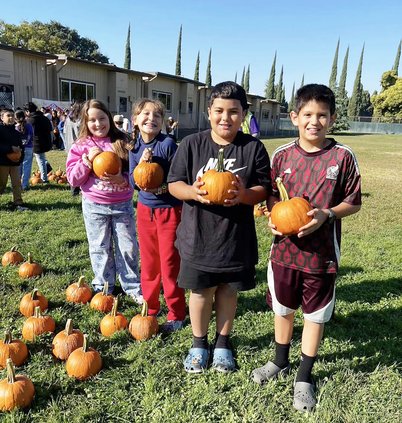 Kiwanis pumpkins 1