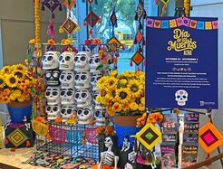 Día de los Muertos ofrenda