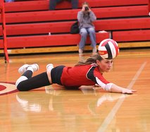 Roseville-Ripon girls volleyball