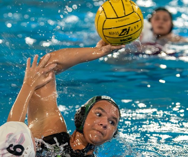 Pitman girls water polo 1