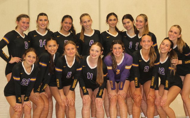 Section playoff run ends in volleyball semifinals