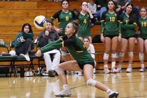 Hilmar volley 1