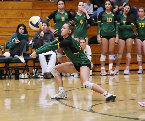 Hilmar volley 1