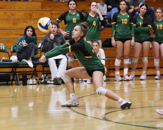 Hilmar volley 1