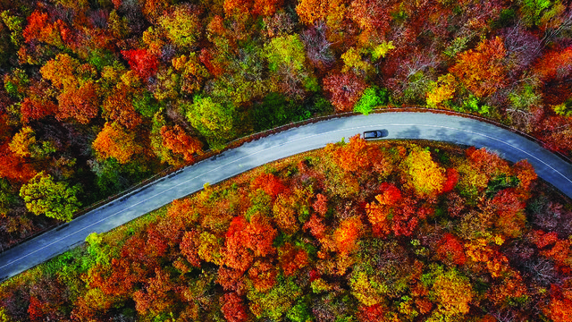 Nearly 82M Americans projected to travel over Thanksgiving