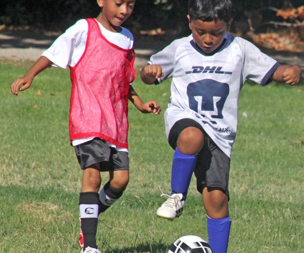 Thomas Valencia and the Dragons