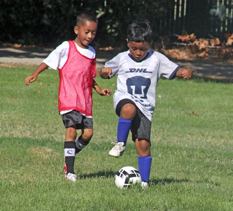 Thomas Valencia and the Dragons