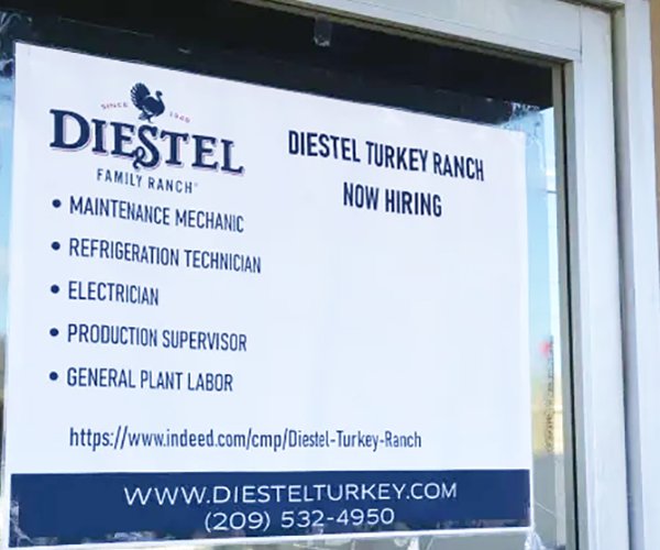 Diestel Family Ranch