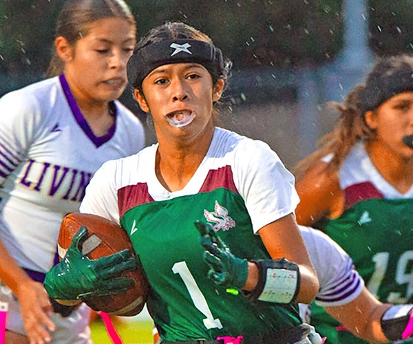 Ayleen Apreza earned