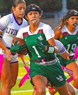 Ayleen Apreza earned