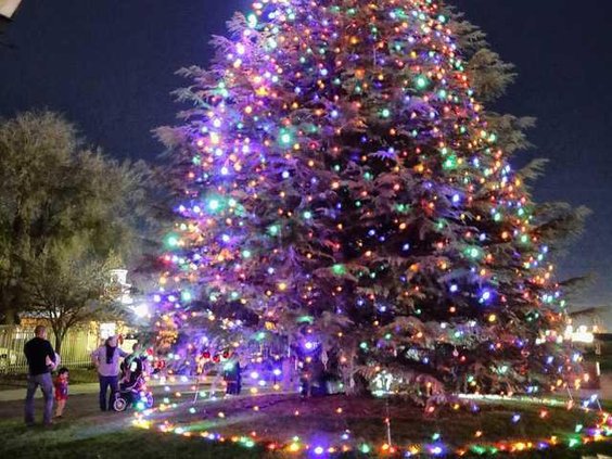 manteca tree lighting