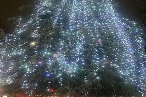 Festival of Lights 1