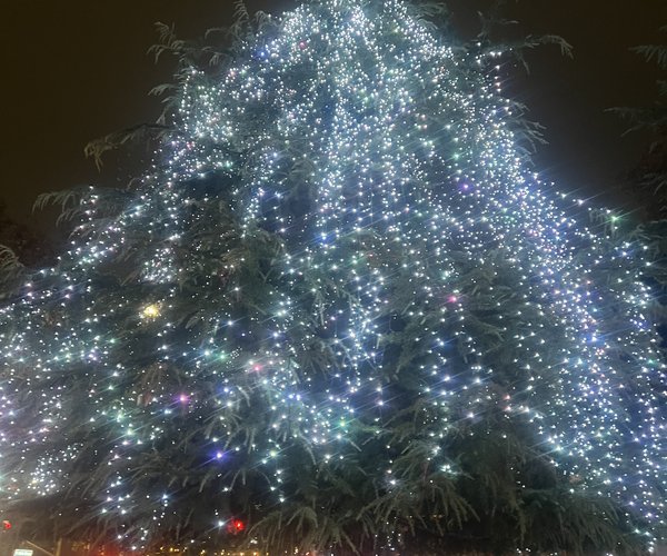 Festival of Lights 1