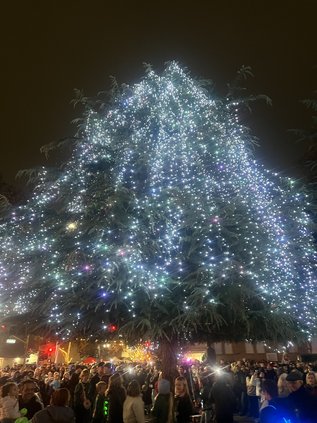 Festival of Lights 1