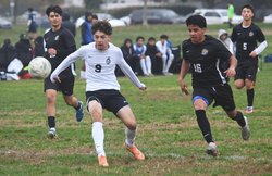 Mendiola Classico boys