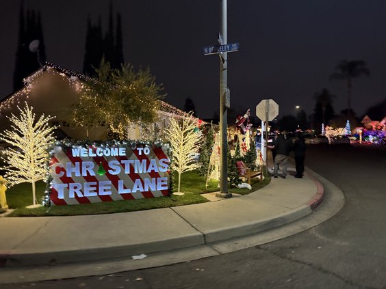 Christmas Tree Lane