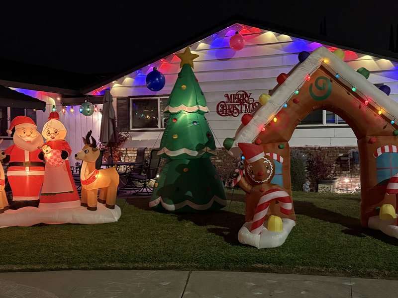 Christmas tree lane 2