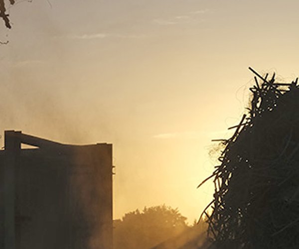 excavator disposes of a vineyard in Lodi