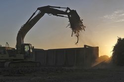excavator disposes of a vineyard in Lodi