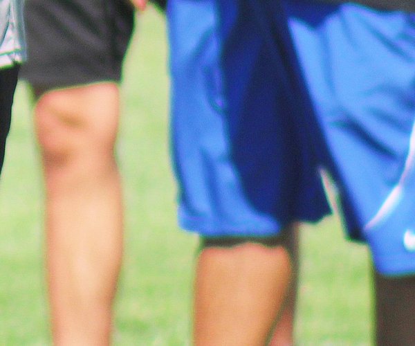 Sierra coach Jeff Abrew