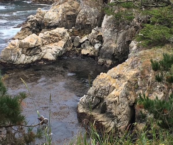 point lobos