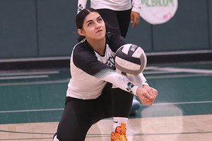 All-VOL girls volleyball