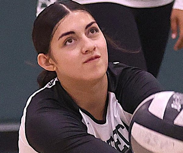 All-VOL girls volleyball